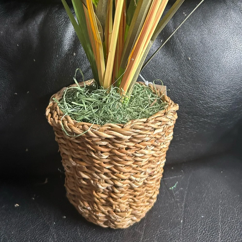 Natural Grass Dry Arrangement in Woven Basket